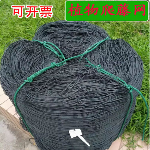 百香果专用爬藤网苦瓜罗汉果黄瓜丝瓜葡萄沃柑瓜果种植豆角蔬菜网