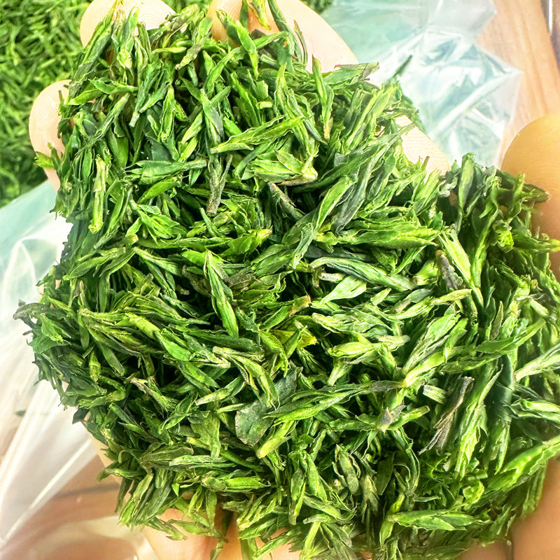 2026年新茶叶贵州余庆特产小叶苦丁茶明前青山绿水茶嫩芽罐装100g
