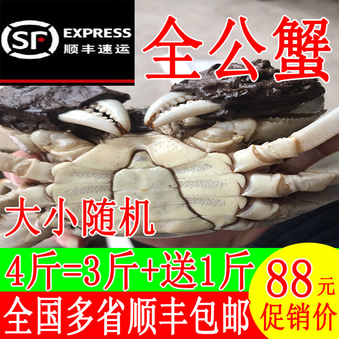 一二元小螃蟹现货鲜活大闸蟹全公蟹河蟹毛蟹稻田蟹醉蟹香辣蟹包邮