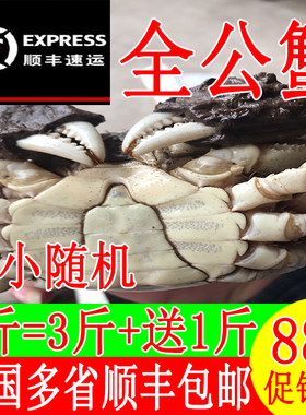 4斤小螃蟹河蟹现货鲜活顺丰包邮