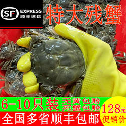 特大残蟹鲜活大闸蟹河蟹湖蟹无为螃蟹断脚蟹残公残母九指顺丰包邮