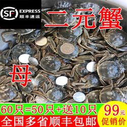 全母二元蟹现货鲜活小螃蟹大闸蟹醉蟹河蟹毛蟹一元活蟹香辣蟹包邮