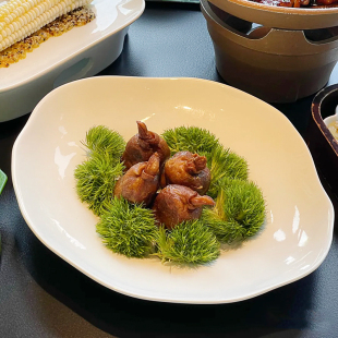 酒店中厨餐具陶瓷异形不规则会所餐厅凉菜冷菜展示盘子特色奇形盘