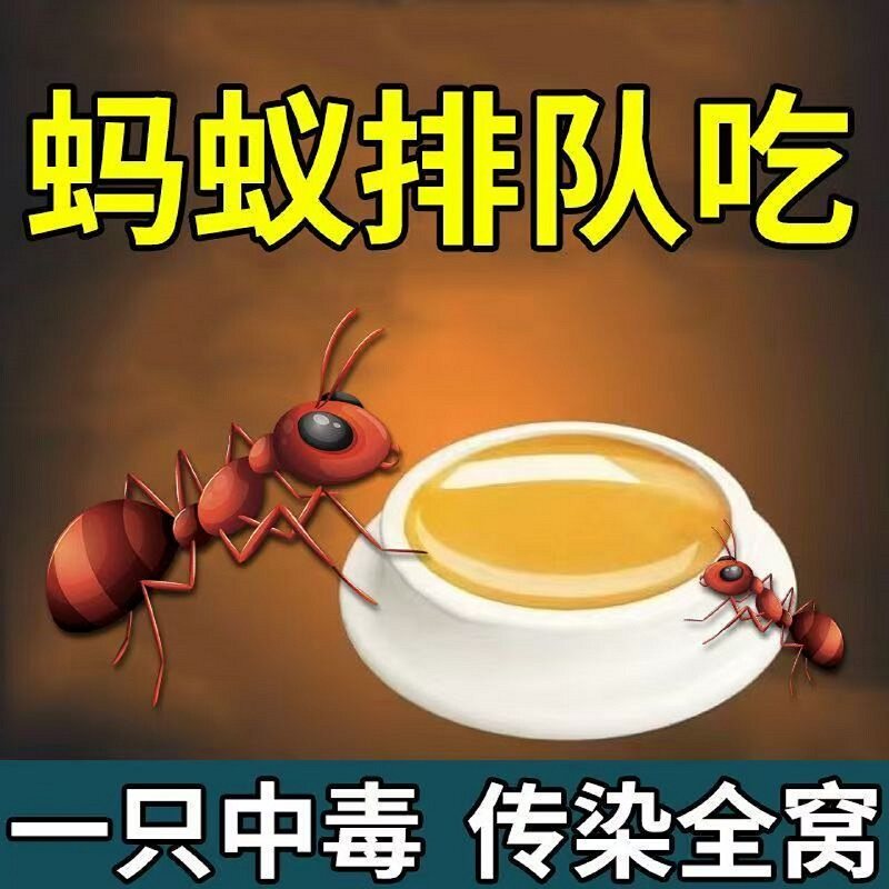 强效蚂蚁药灭除红黑蚂蚁饵剂便贴