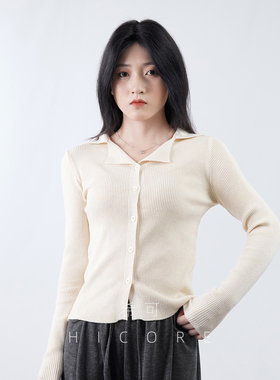 气质修身V领针织开衫女秋季设计感长袖Polo衫毛衣打底衫内搭上衣