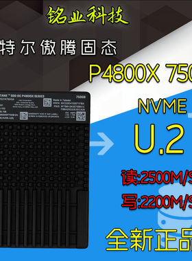 Intel/英特尔 P4800X 750G U.2傲腾 全新 固态硬盘 SSDPE21K750GA