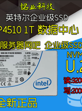 Intel/英特尔 P4510 1T P4600 1.6T P4610 1.6T U2 企业级固态