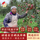 包邮 云南高原昭通丑苹果 10斤 正宗脆甜冰糖心当季 现摘新鲜水平果