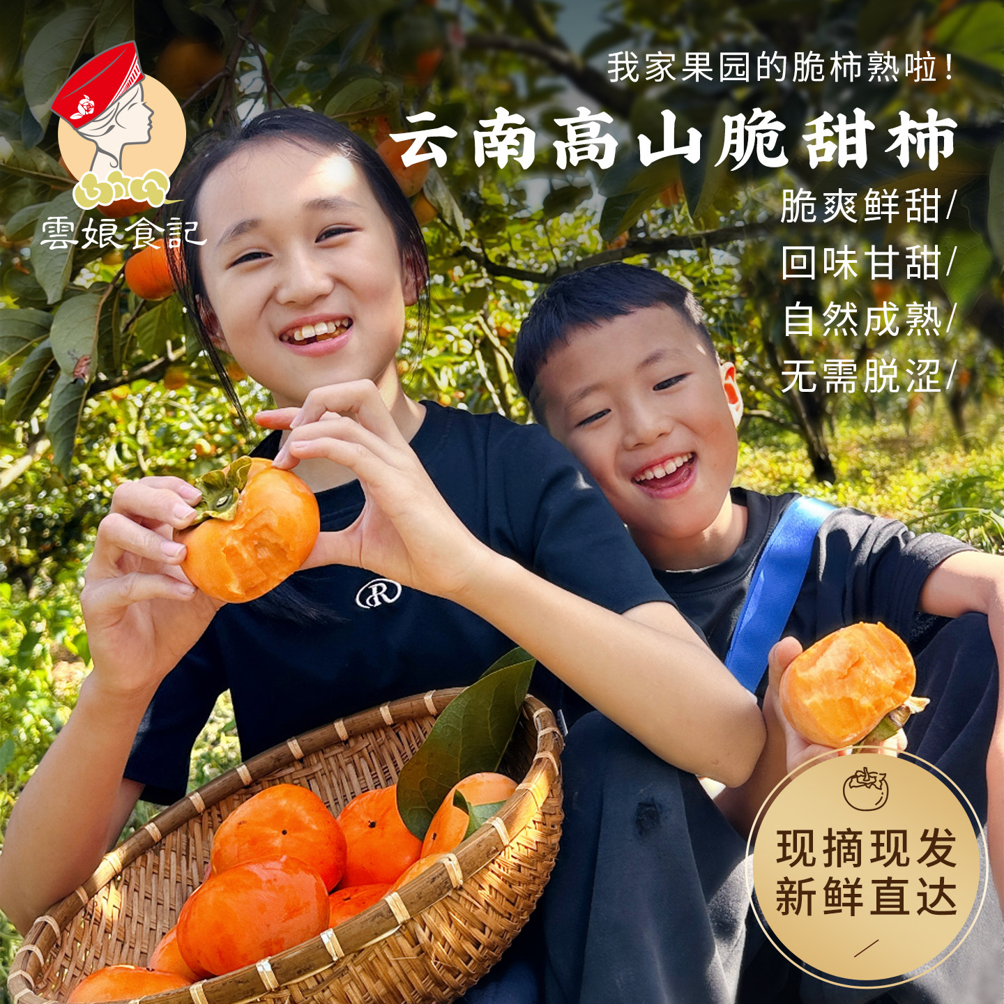 云南保山糖心脆柿 高原现摘新鲜水果脆皮次郎柿子甜硬爽脆柿子5斤