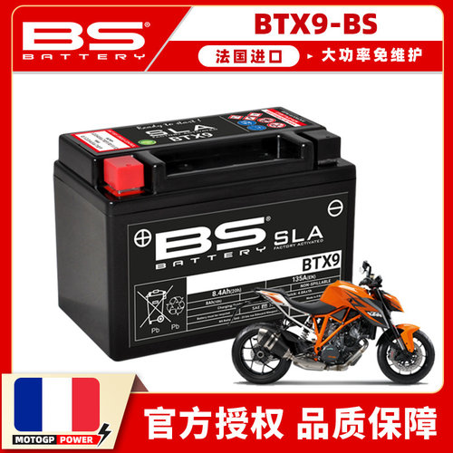 法国进口大功率免维护自放电率低