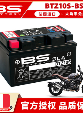 适用无极500R AC DS 525R 650DS 300R RR AC GY DS 250RR电池电瓶