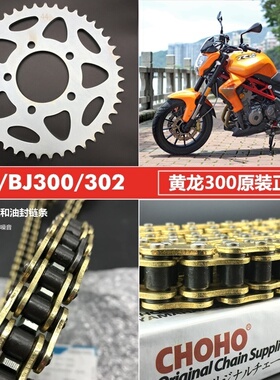 黄龙BJ300GS BN300/302 蓝宝龙300 摩托车套链轮牙盘征和油封链条
