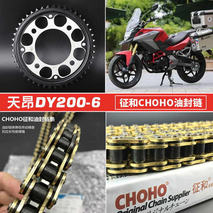 适用大阳天昴DY200-6/200-8摩托车链轮牙盘齿轮三件套油封链条