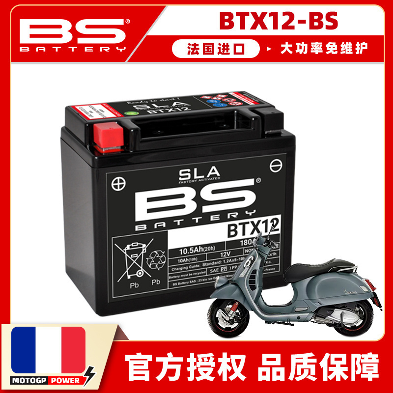 法国进口大功率免维护自放电率低