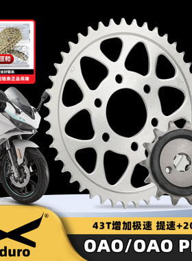 适用钱江OAO RX5000D电摩改装牙盘大小飞链轮征和X2静音油封链条