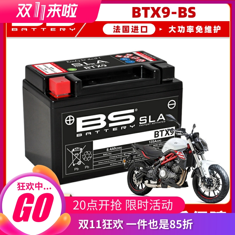 法国进口大功率免维护自放电率低