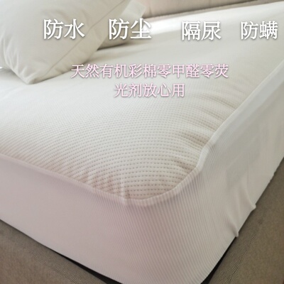 A类天然防螨床垫保护套