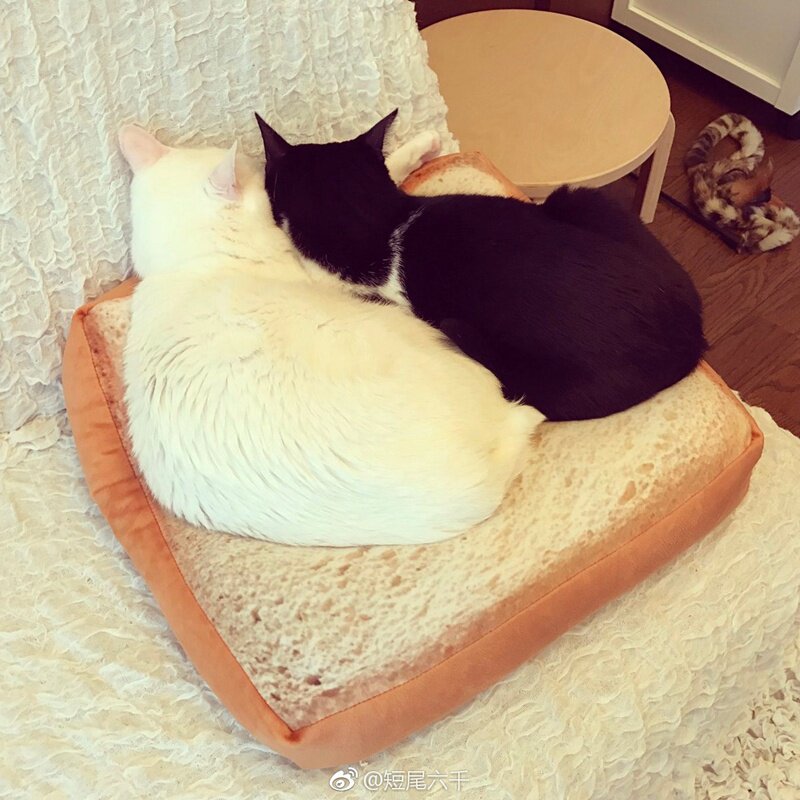 Peluche manga en peluche original - Ref 2696563 Image 5