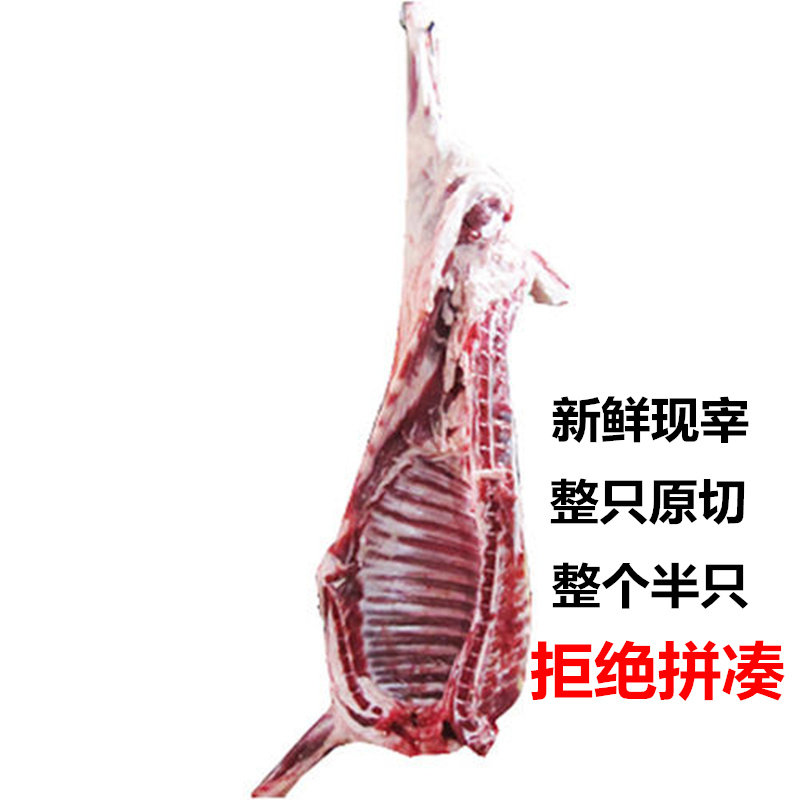 半只羊新鲜现宰18斤宁夏滩羊羊羔