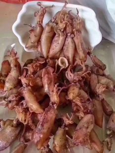 东山岛特产 小管仔 小鱿鱼仔 小管干 东山海鲜干货 海产