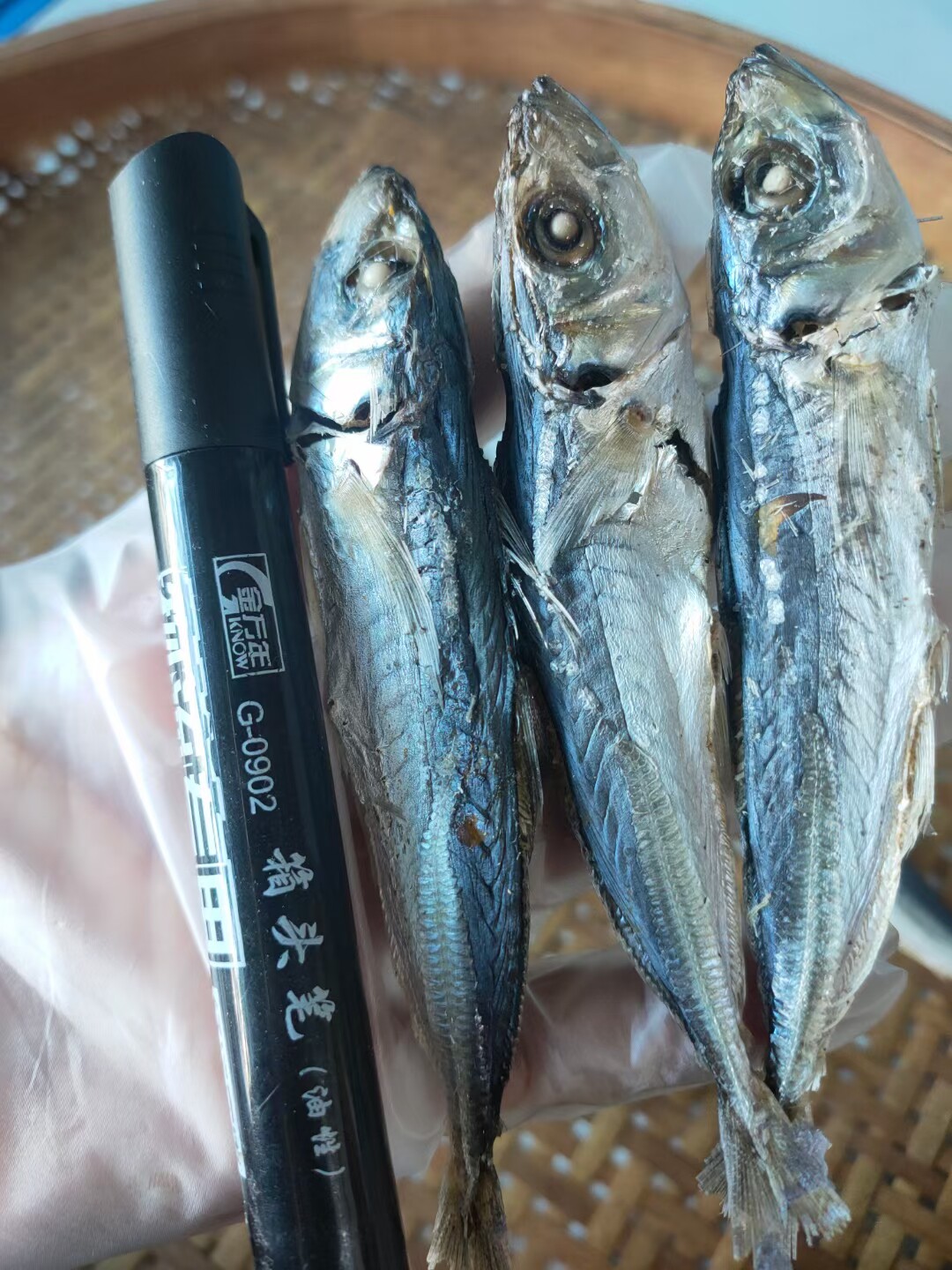 即食带头巴浪鱼/福建特产东山巴浪鱼干咸鱼干池鱼干货500g可即食