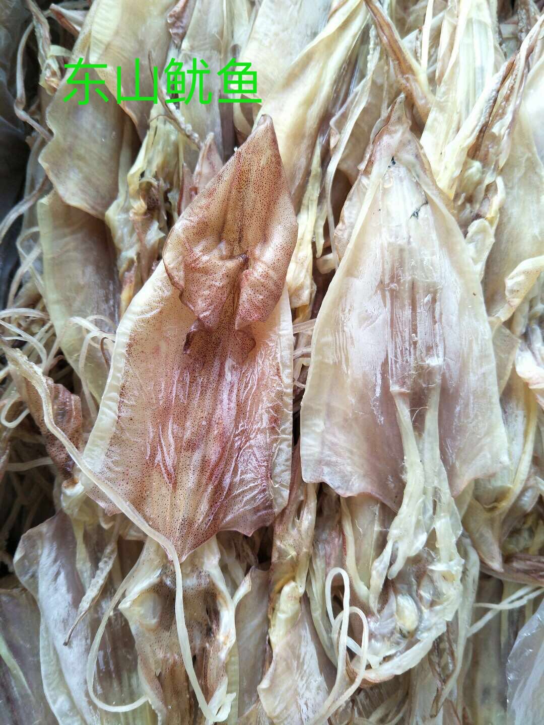 东山岛淡晒鱿鱼干大 中小号鱿鱼干烧烤海鲜干货17只一斤尤鱼干