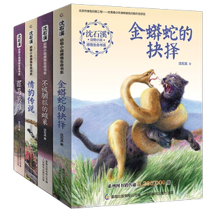 沈石溪动物小说感悟生命书系不被驯服的雌象+金蟒蛇的抉择+情豹传说+罪马英雄动物小说大王故事书9-12-15岁小学五六年级课外阅读书