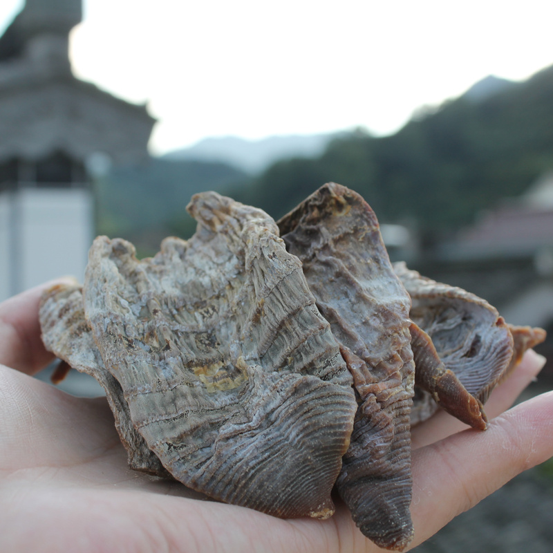 农家自制正宗冬笋尖干很嫩的新货