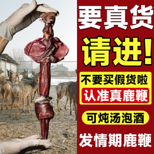正品吉林梅花鹿鞭干整根鹿茸血片泡酒鹿鞭酒可搭配鲜鹿尾产地直发