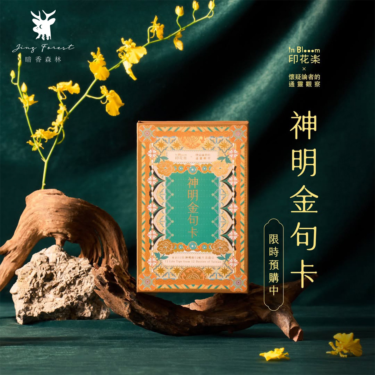 【正版现货】神明金句卡 智慧话语指引 印花设计中文繁体台湾进口