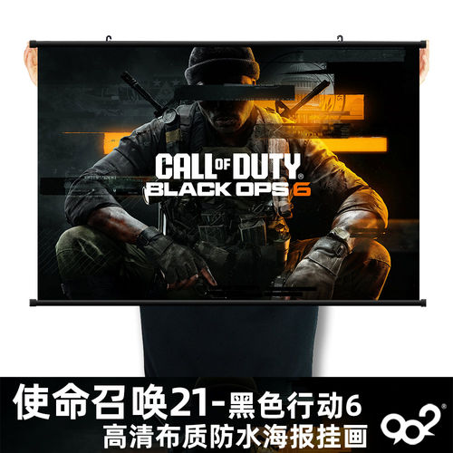 使命召唤21游戏海报装饰画