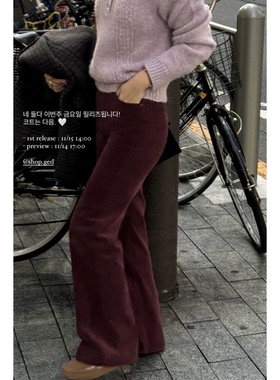 秒发！荷静同款天鹅绒休闲裤韩国设计师ged柔软光泽感直筒长裤女