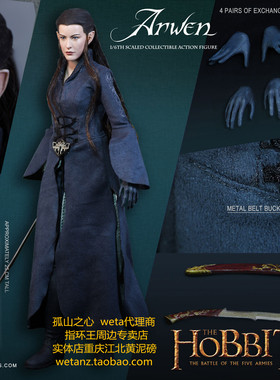 Asmus Toys  精灵 公主  魔戒指环王周边 亚玟 阿尔温 Arwen 兵人