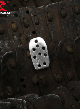 浪潮君物格萨尔王扎甲大明