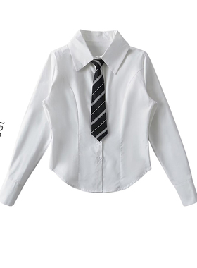 学院风领带白色衬衫女设计感小众纯欲甜辣妹春季显瘦收腰长袖衬衣