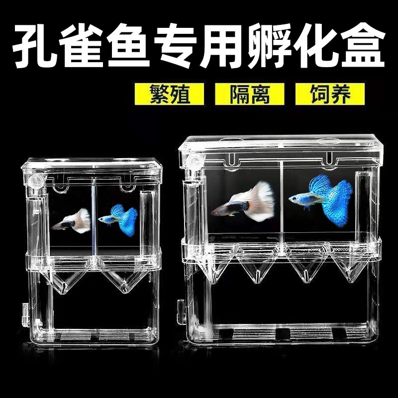 孔雀鱼繁殖盒热带鱼缸亚克力