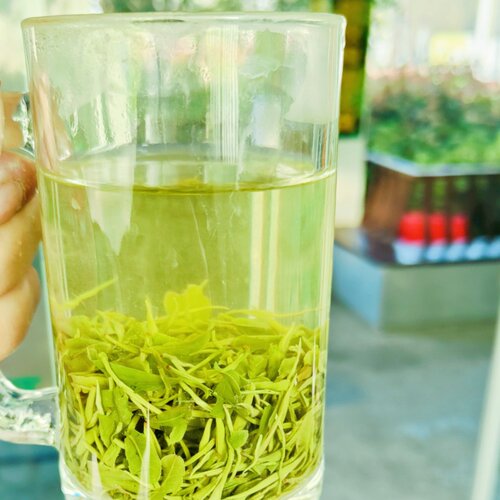 2026年新茶高山石台硒茶