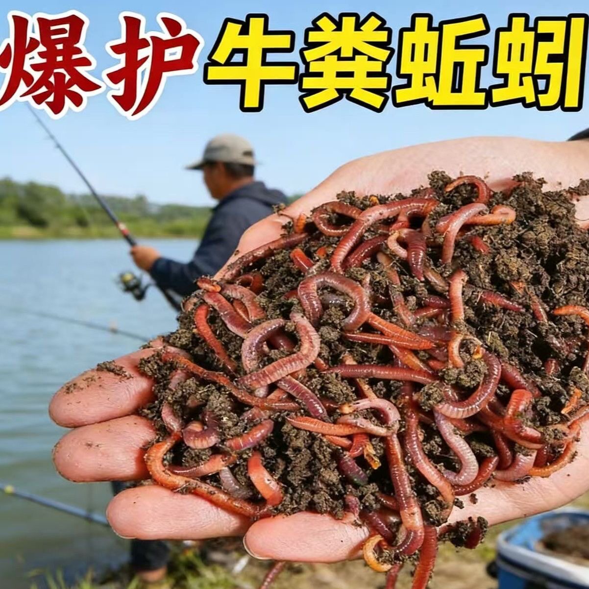 蚯蚓活饵鲜活小号大号特大野钓钓鱼大红散装盒装钓鱼饵料图片