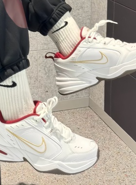 耐克/Nike Air Monarch M2K 蛇年限定运动休闲老爹鞋 IB4607-171