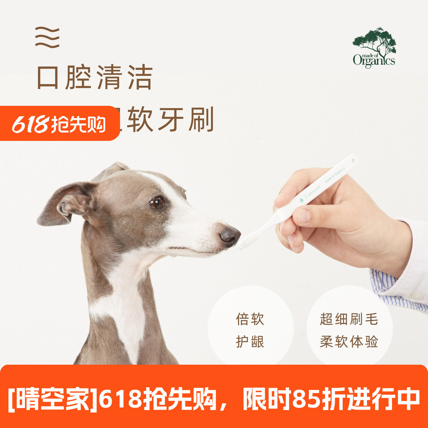 宠物猫咪狗狗清洁牙垢结石除口臭