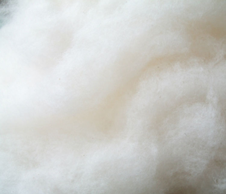 羊毛毡棉花充填打底戳戳乐