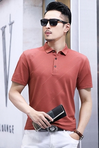B2801钱塘2020-1夏季男士时尚短袖polo衫T恤翻领男装商务休闲P60图片