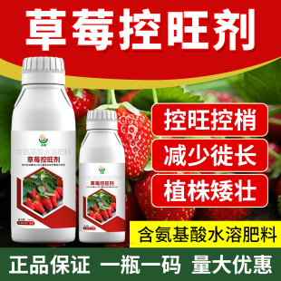 草莓控旺剂减少徒长不僵苗控梢膨大果实提高免疫矮壮植株草莓专用