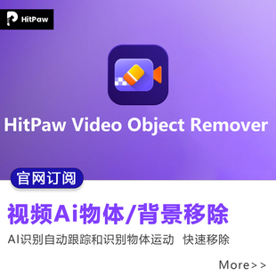 官网订阅HitPaw Video Object Remover视频背景物体ai移除工具