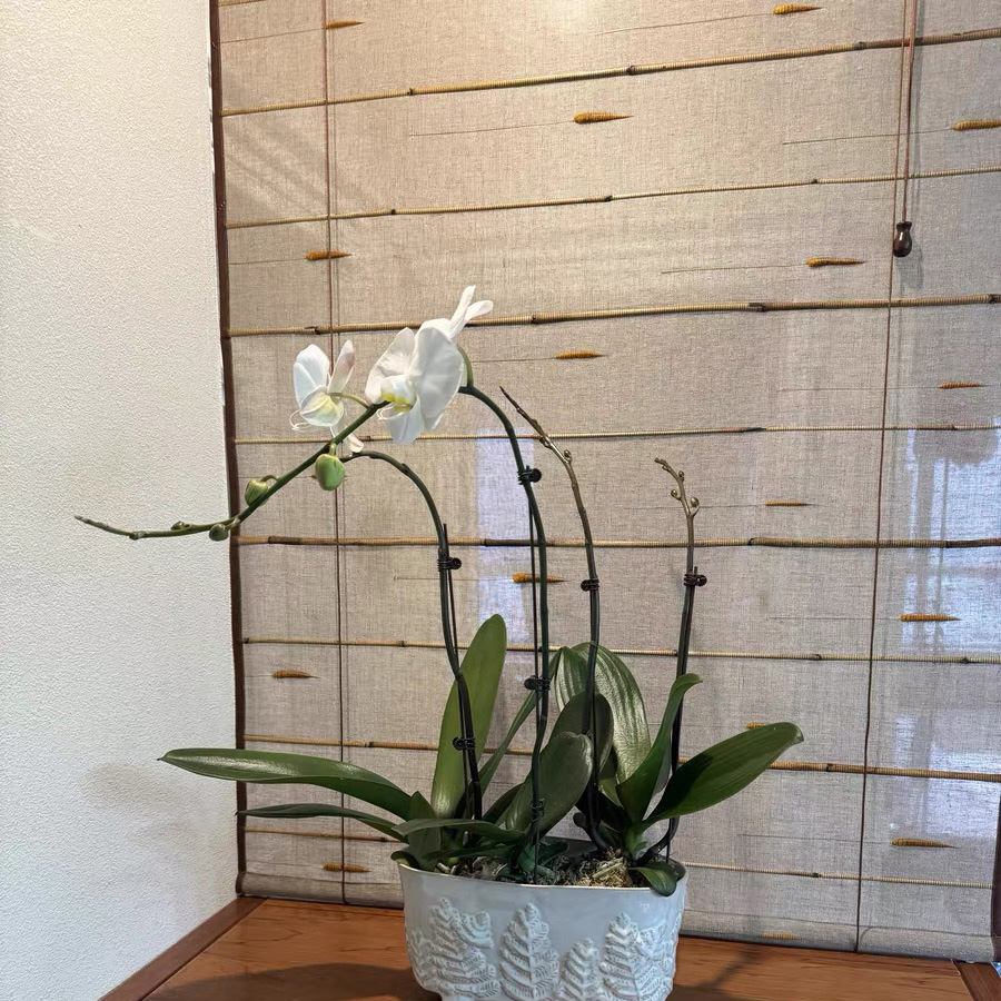 亚麻兔尾草半遮光窗帘风水帘可升降卷帘软隔断门帘茶室新中式定制