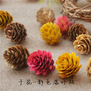 zakka森系天然落叶松果永生干花 diy圣诞花环藤环车挂摆件装挂饰