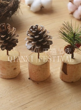 diy微景观松果装饰摆件