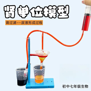 肾过滤肾单位模型手工制作材料包初中生物尿液形成发明科学实验