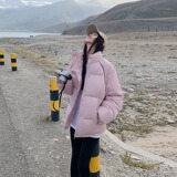 字母印花立领棉衣情侣外套冬季加厚棉袄棉服面包服102B-M1321P88，男装棉衣，星座102B