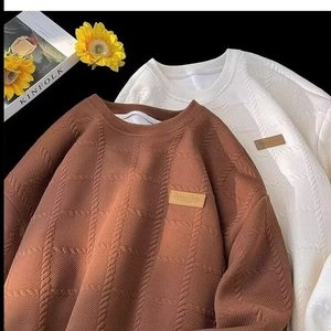 秋25重磅潮牌休闲卫衣美式小众设计感日系条纹上衣102B-W8238P48图片